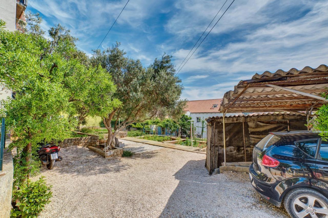Dami * Mali Losinj